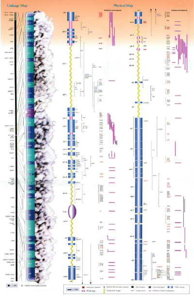 Technically Complex Poster